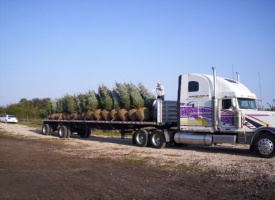 Bridgewater Tree Farms fleet