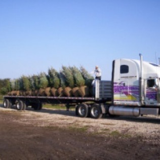 Bridgewater Tree Farms fleet
